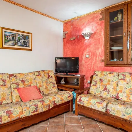 Bouganville 2
